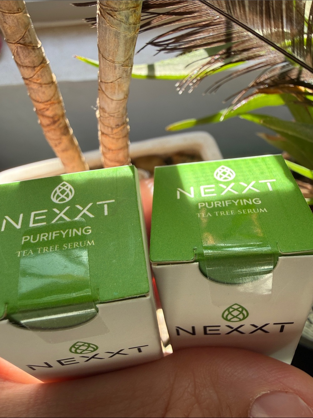NEXXT Purifying Tea Tree Serum Bundle - Picture 4 of 5